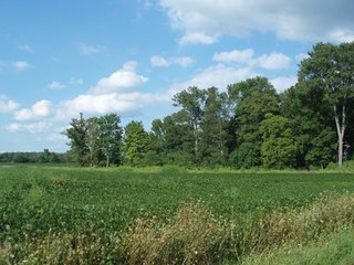 1600 Sq. Ft. farmhouse, machinery shed and outbuildings.  1 acre managed pond, woods, 45 prime tillable acres including 20 CRP acres.  Frontage on two roads.  Nice mix of tillable, CRP and wooded acres.  Only 15 minutes to Richmond, Indiana. - 60 Acre Complete Farm Unit